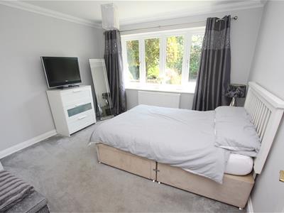 Picture 12